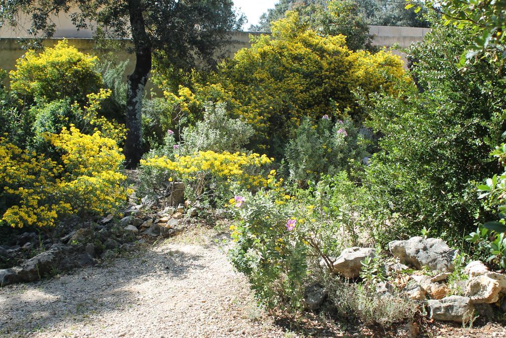 A L'Est D'Uzes Villa Saint-Siffret Exterior photo